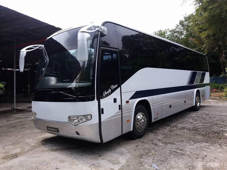 49 SEATER BUS